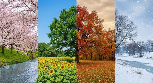 Seasonal Skincare: Why Your Winter Face Isn't Your Summer Face